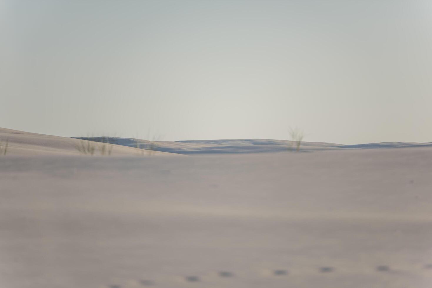 A lone person walking in the snow photo