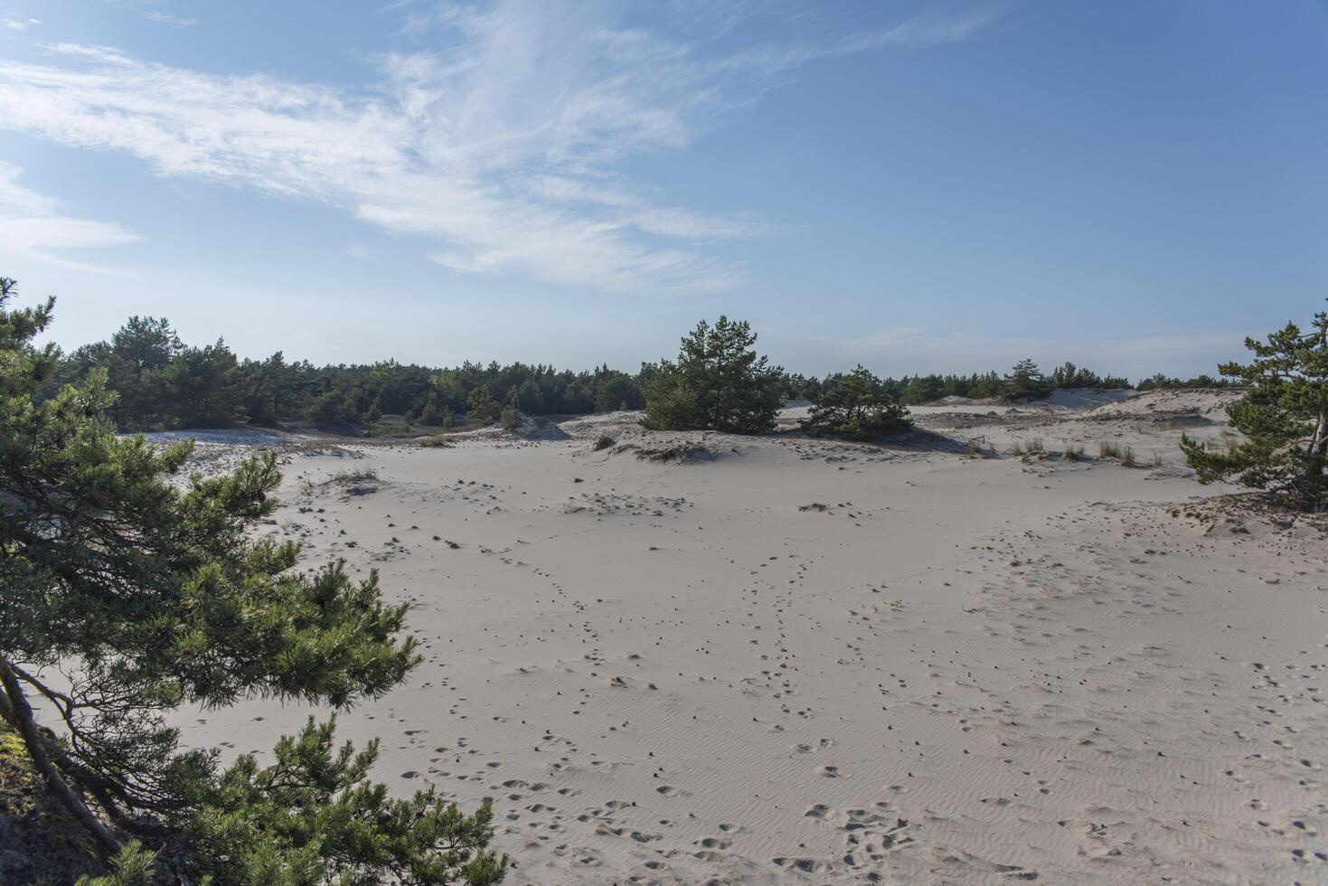 A large sandy area photo