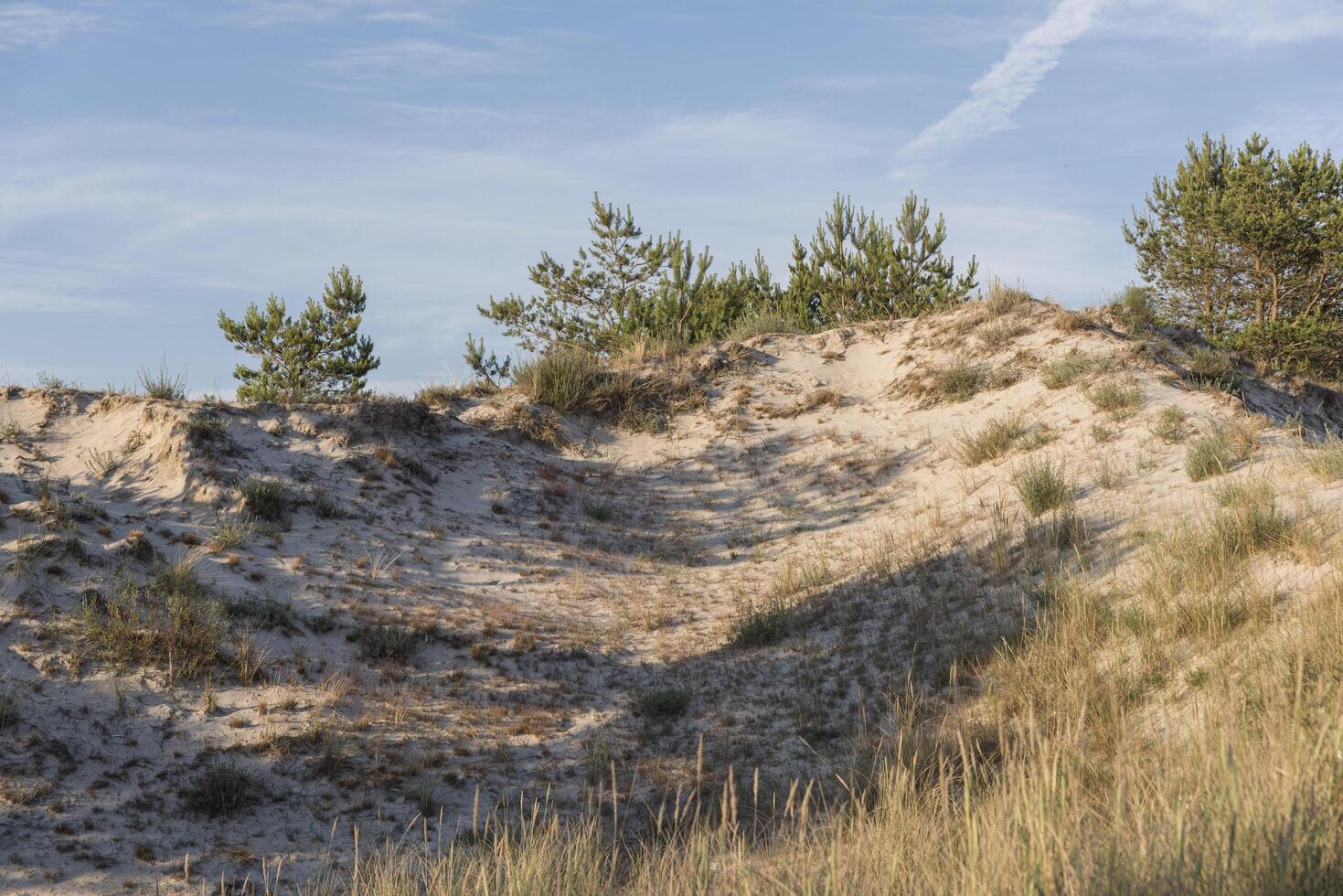 A person riding a skateboard on a sandy hill photo