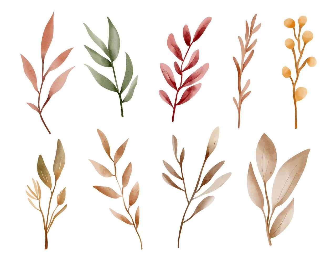 Watercolor autumn herbs set. Hand painted fall botanical elements for seasonal design vector