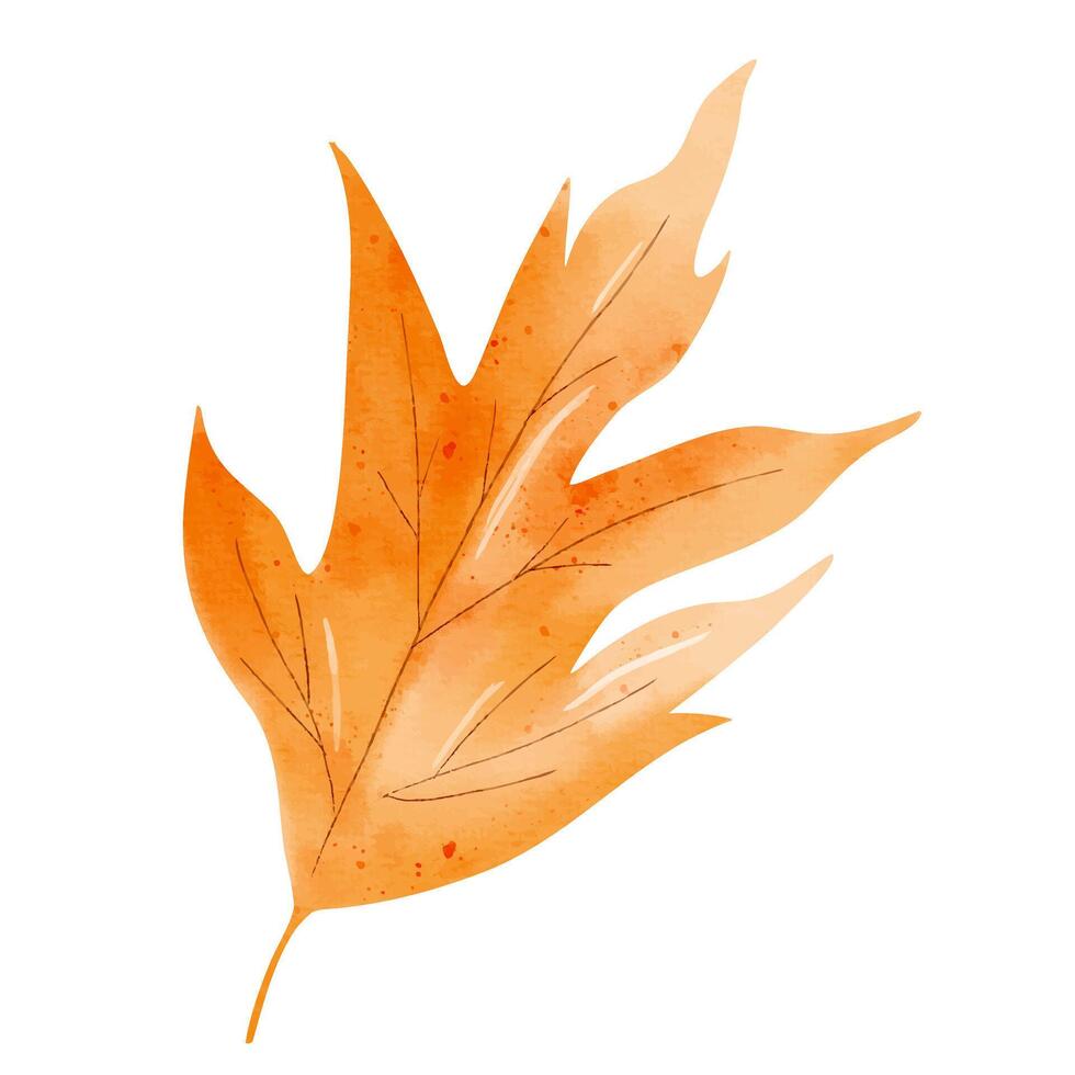 Hand painted fall leaf. Watercolor autumn element for botanical designs, crafts, cards and decorations vector