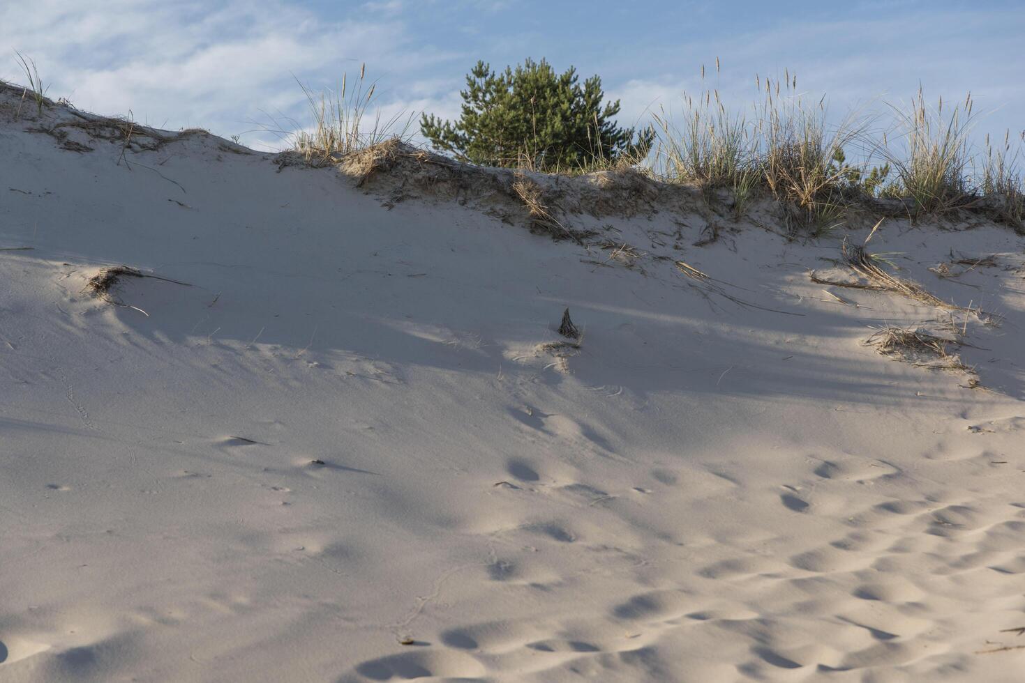 A man is walking on a sand dune photo