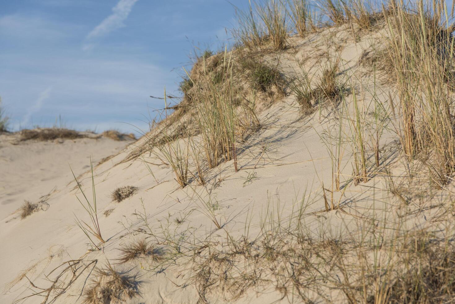 A man riding a skateboard on a sand dune photo