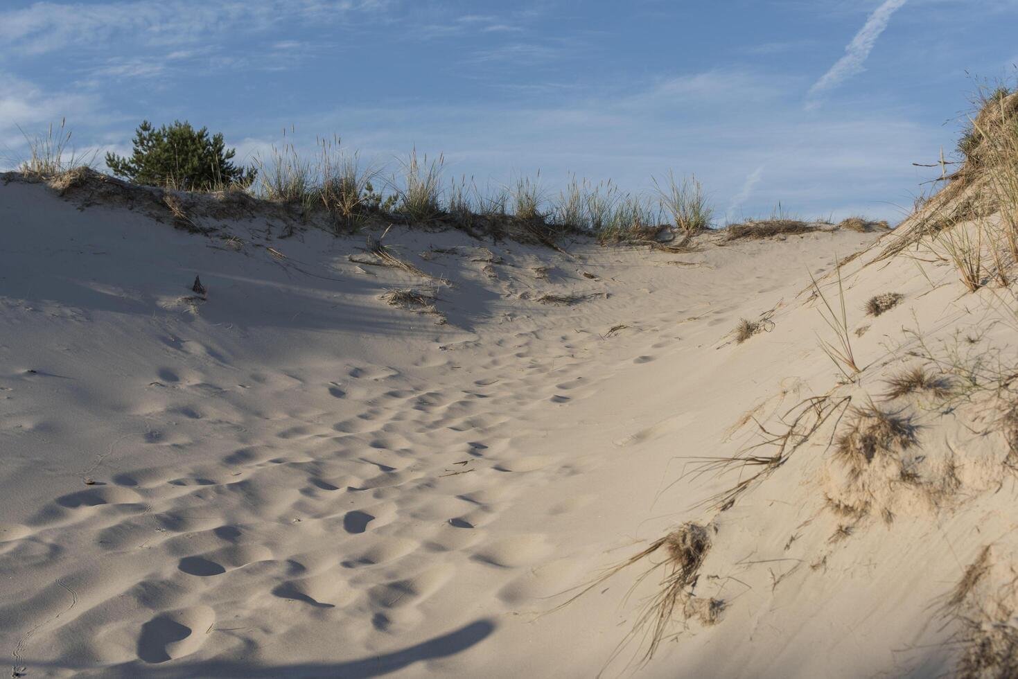 A person walking on a sand dune photo