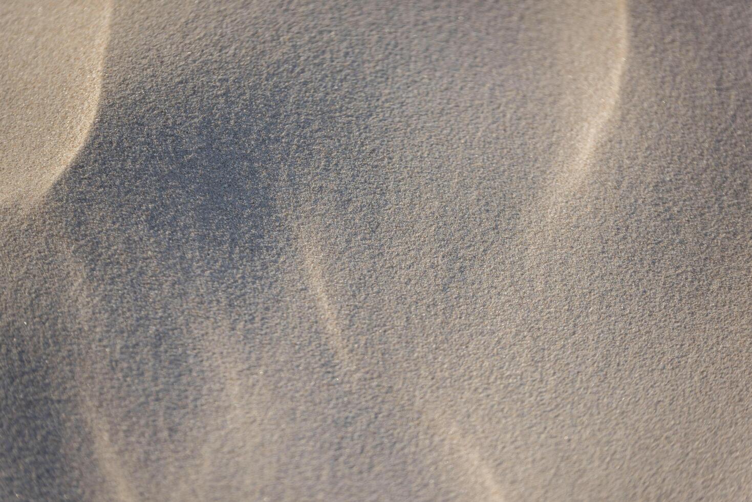 A close up of a sand dune with a bird flying photo