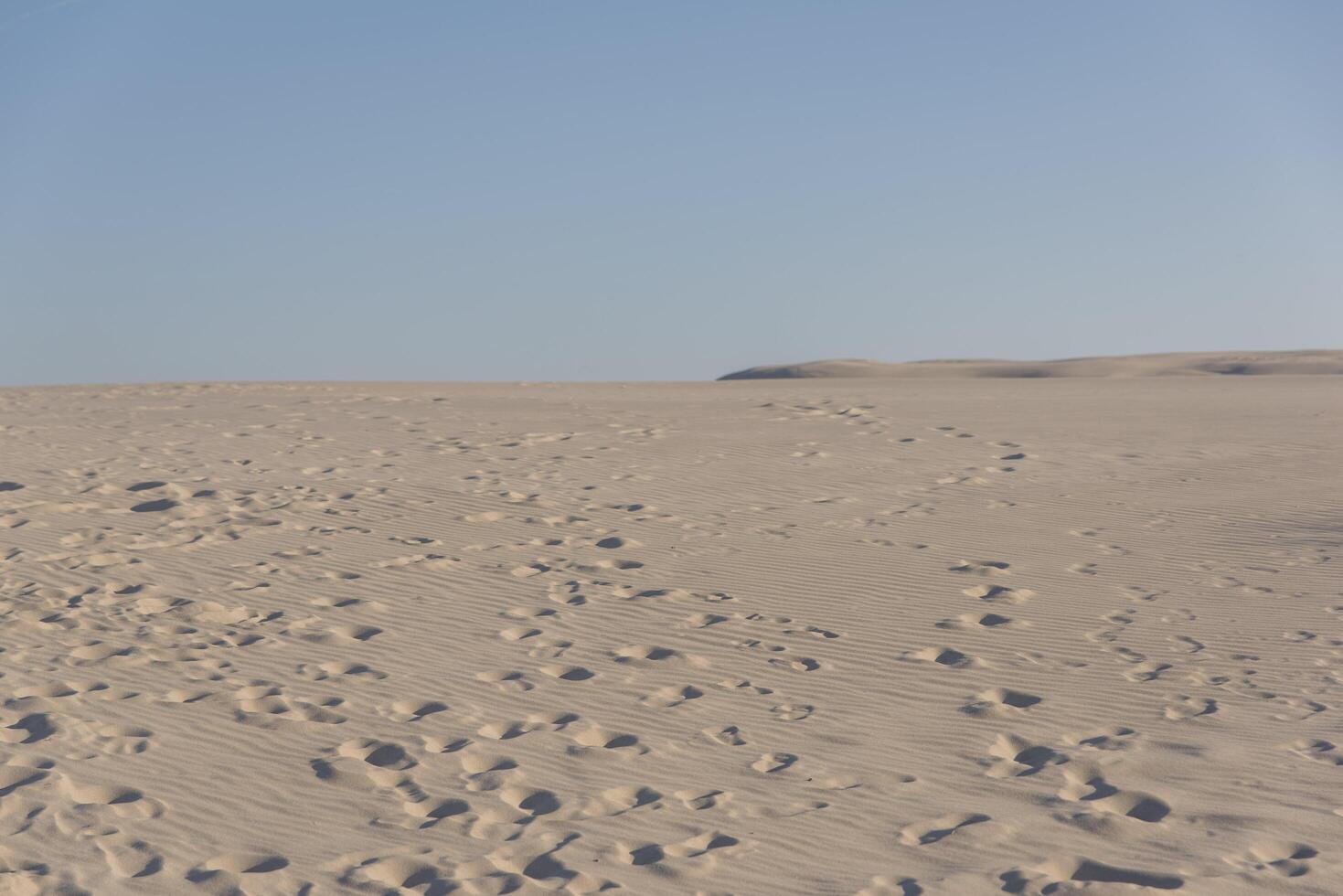 A large desert with footprints in the sand photo