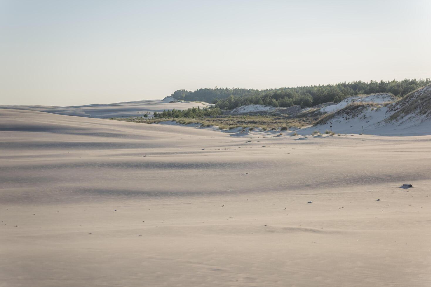 A person is riding a horse on a beach photo
