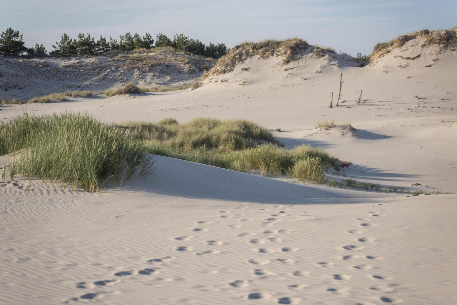 A person walking on a sandy beach with a backpack photo