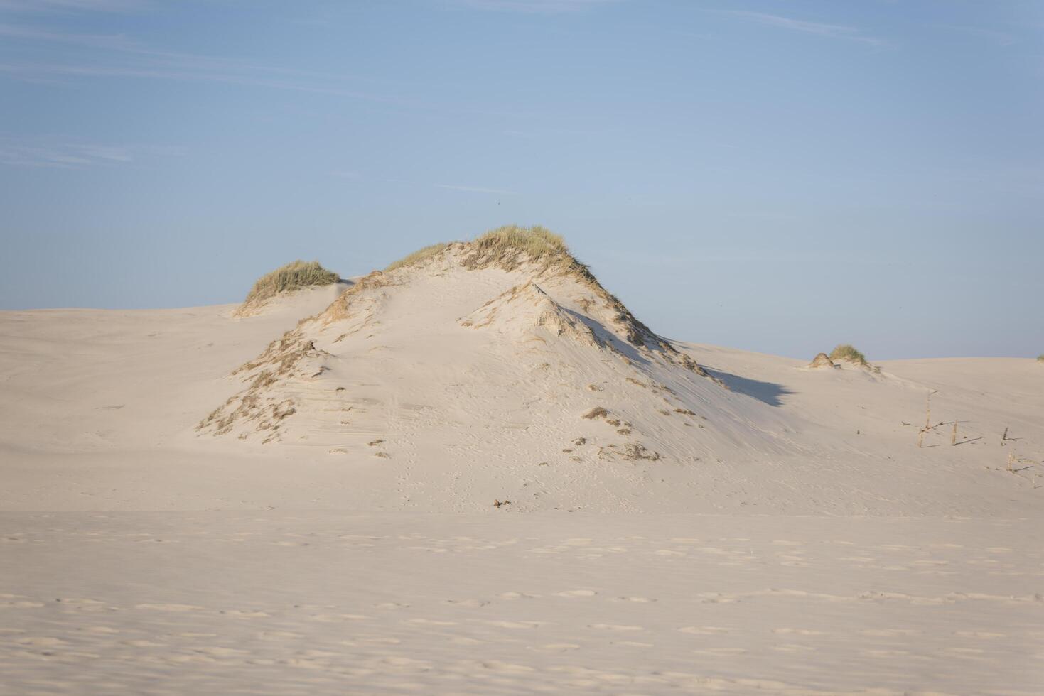 A large sand dune photo