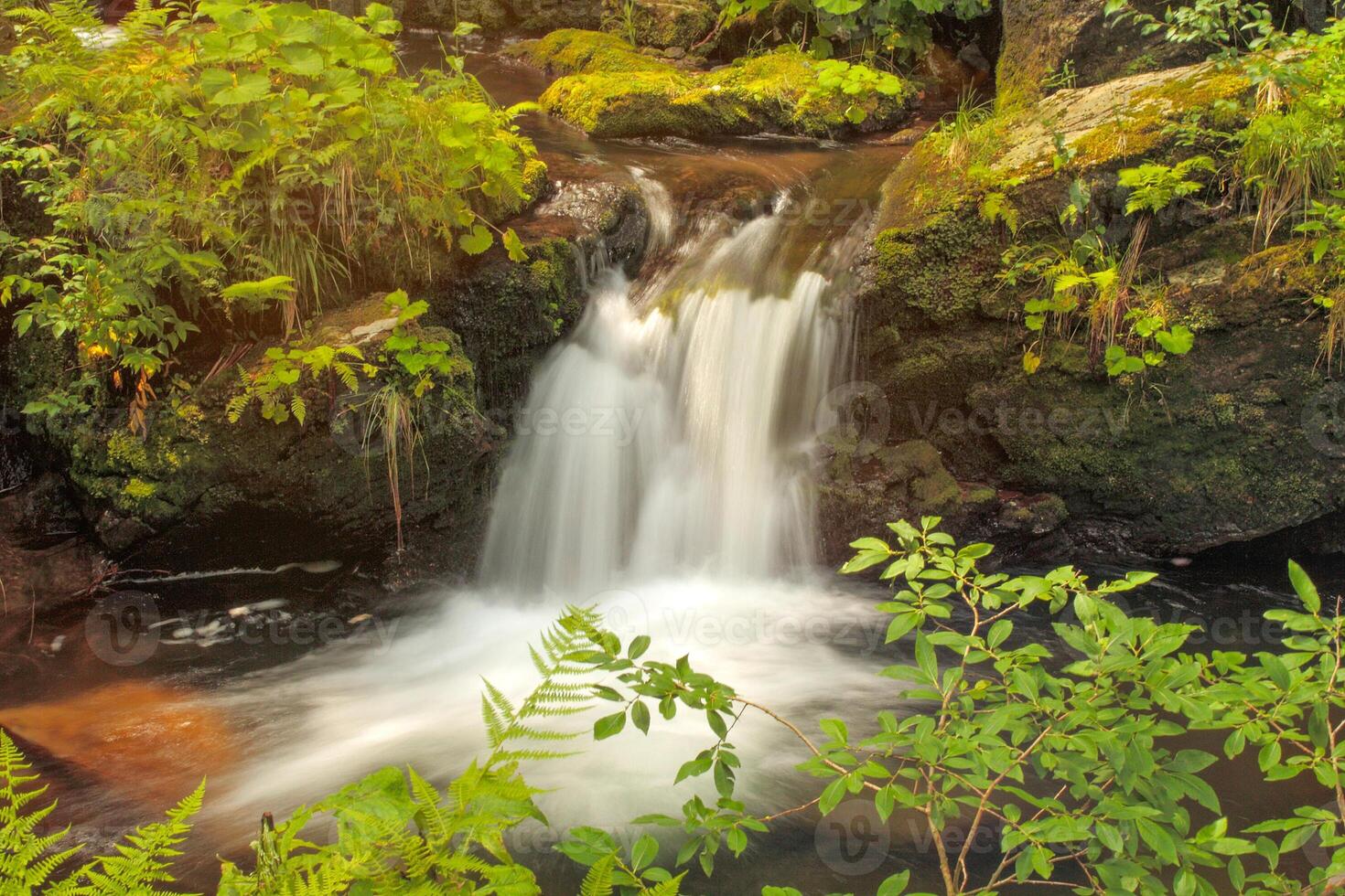 rapids on the wild river in the forest water flowing over rocks photo