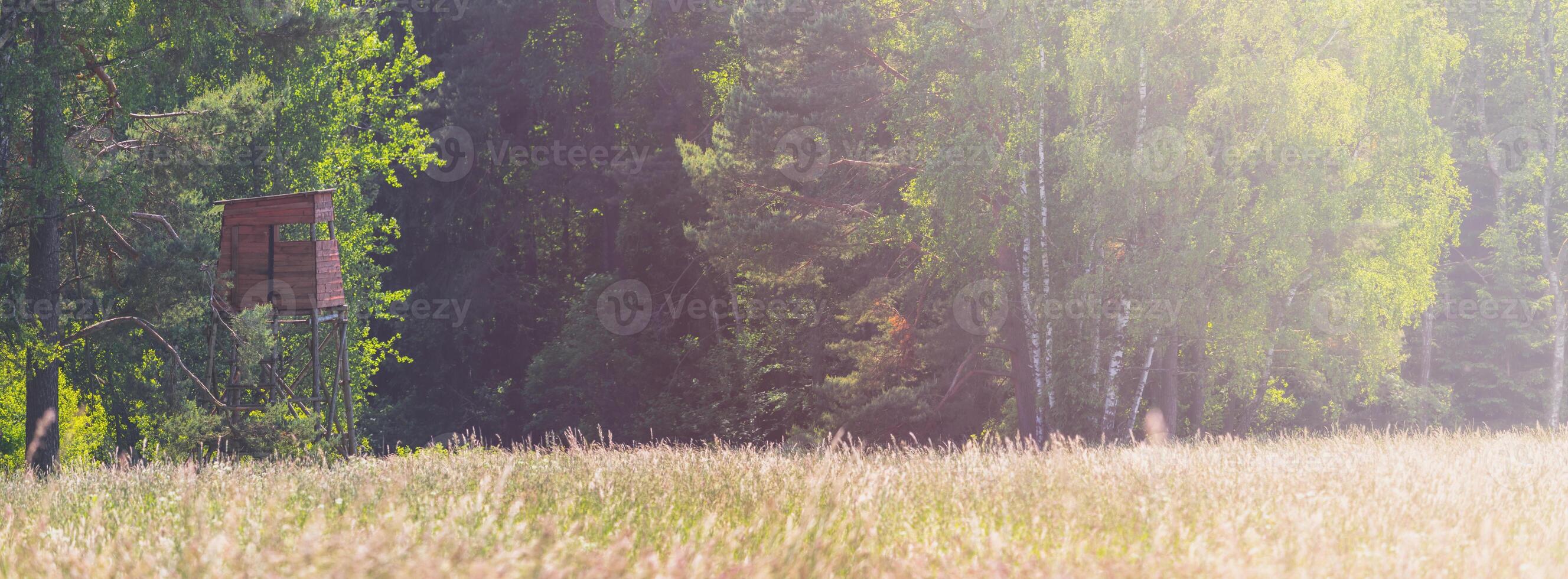 wooden hunting blind on the edge of the forest near the meadow photo