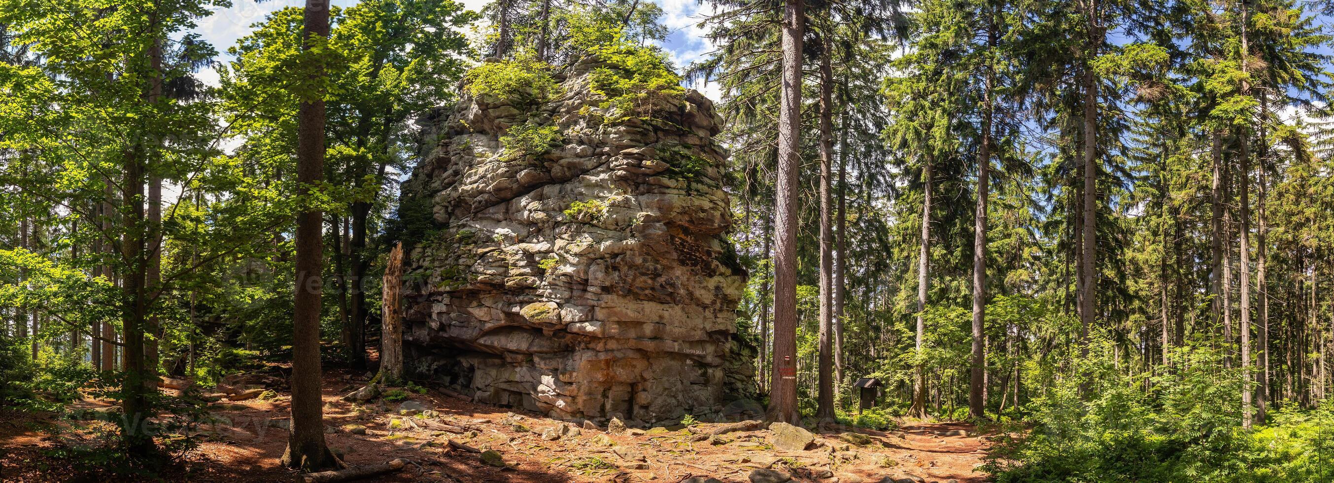 rock in the forest - natural monument Lisovska Rock, Zdarske vrchy in Vysocina, Czech Republic photo