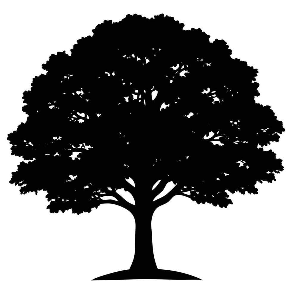 a massive oak tree with a wide sprawling canopy s vector