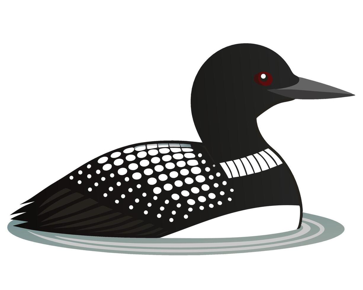 a striking watercolor of a common loon with its black and white feathers vector