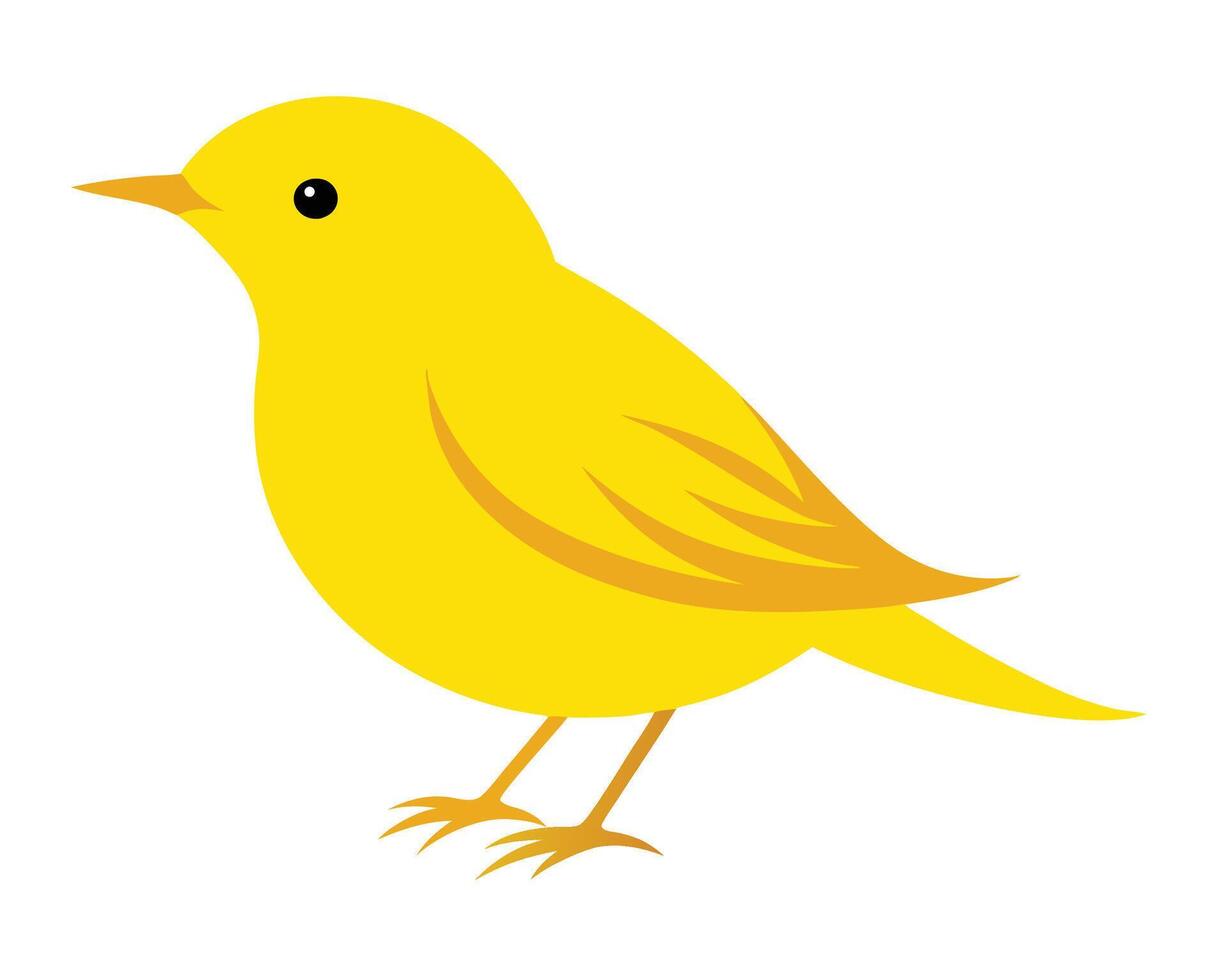 a detailed watercolor of a yellow warbler with its bright yellow feathers vector