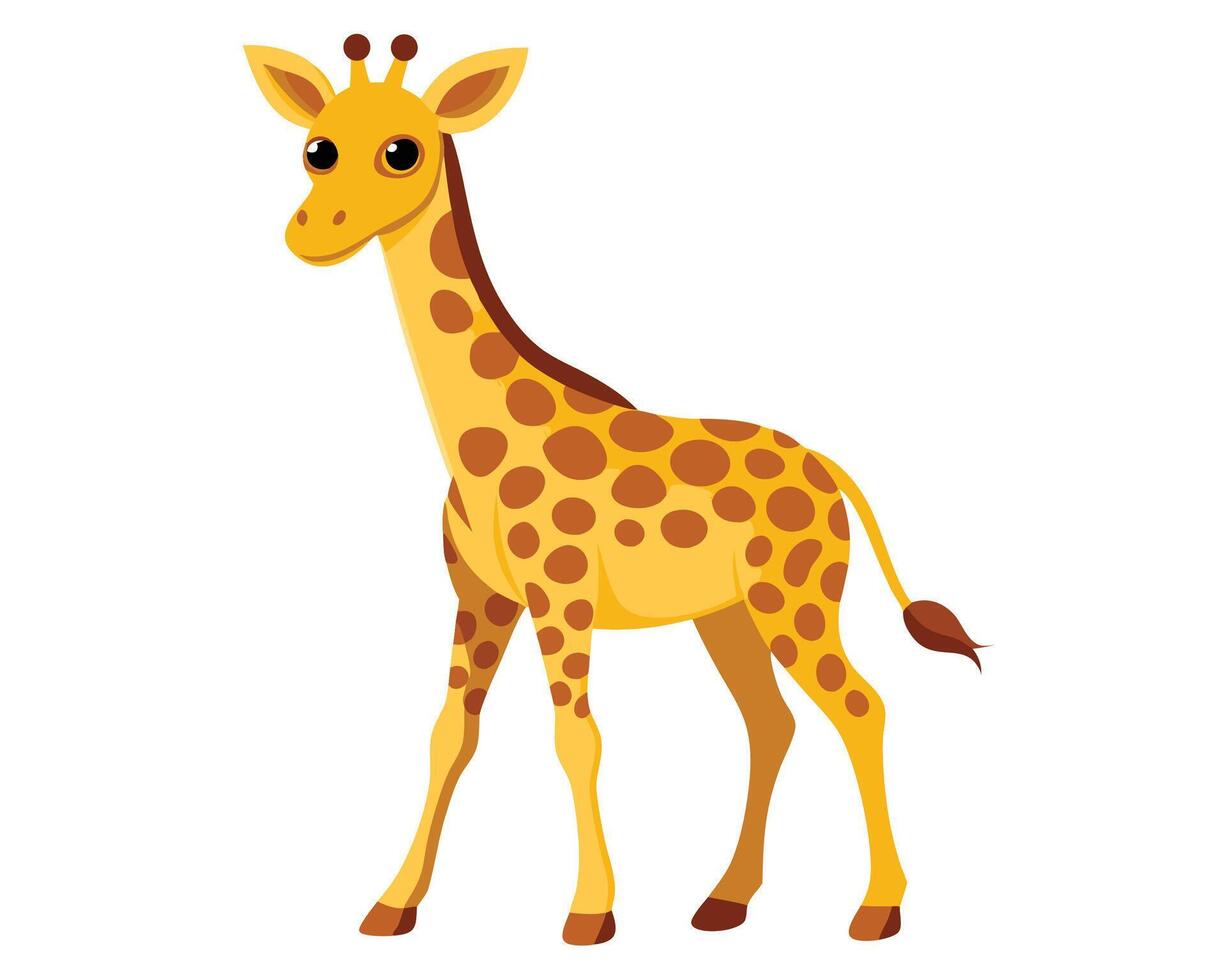 giraffe calf with spots and long neck standing vector