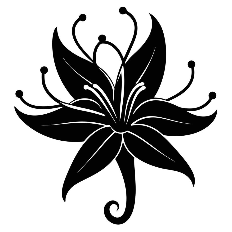 A black and white flower with a long stem vector