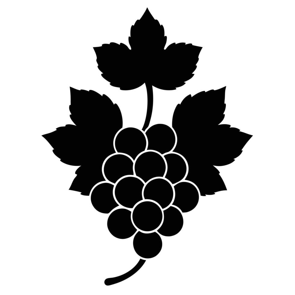 Black grapes on a white background vector