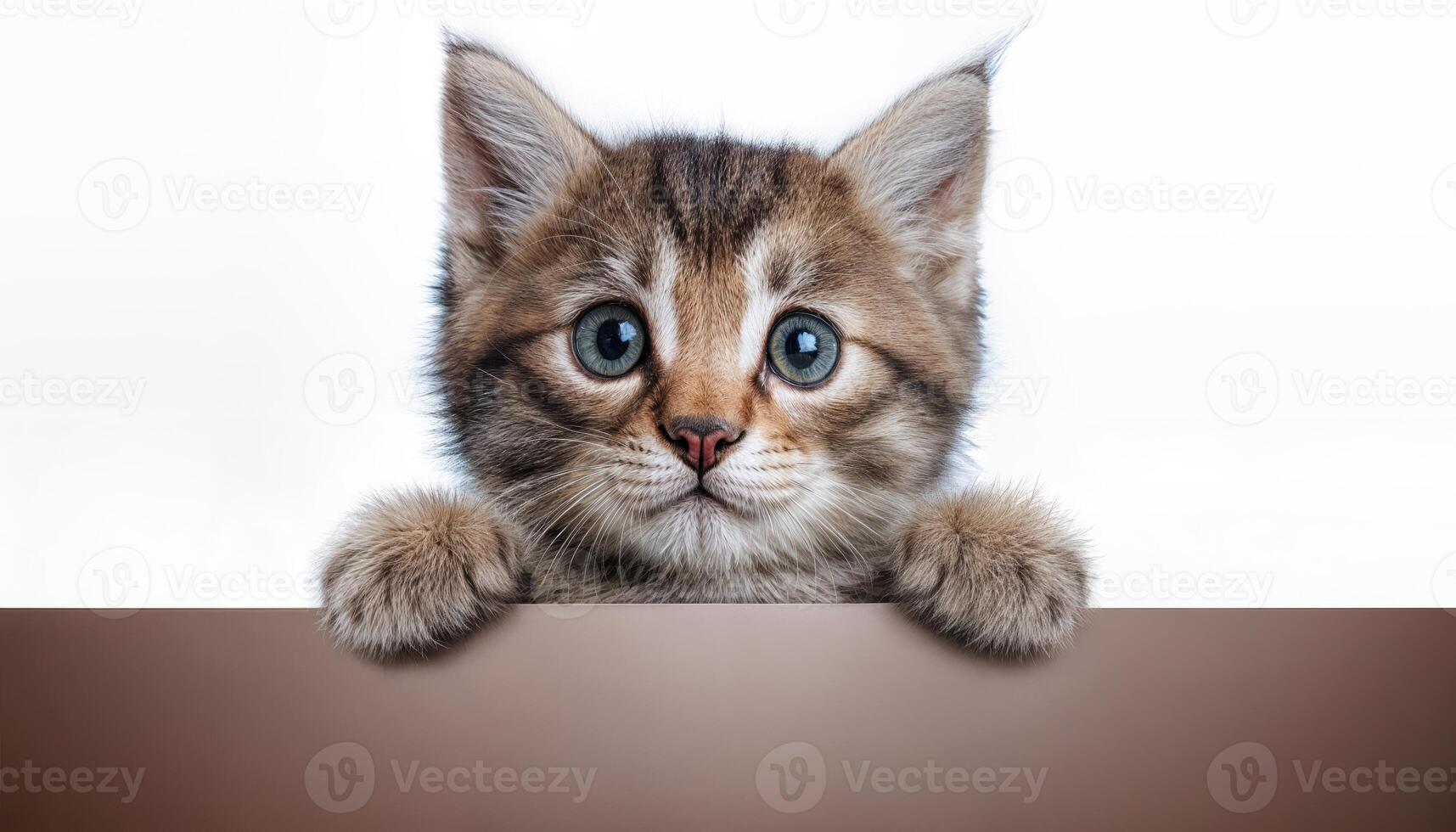 Kitten holding a blank banner against an isolated transparent background, capturing playful curiosity and vibrancy in a minimalistic setting. photo