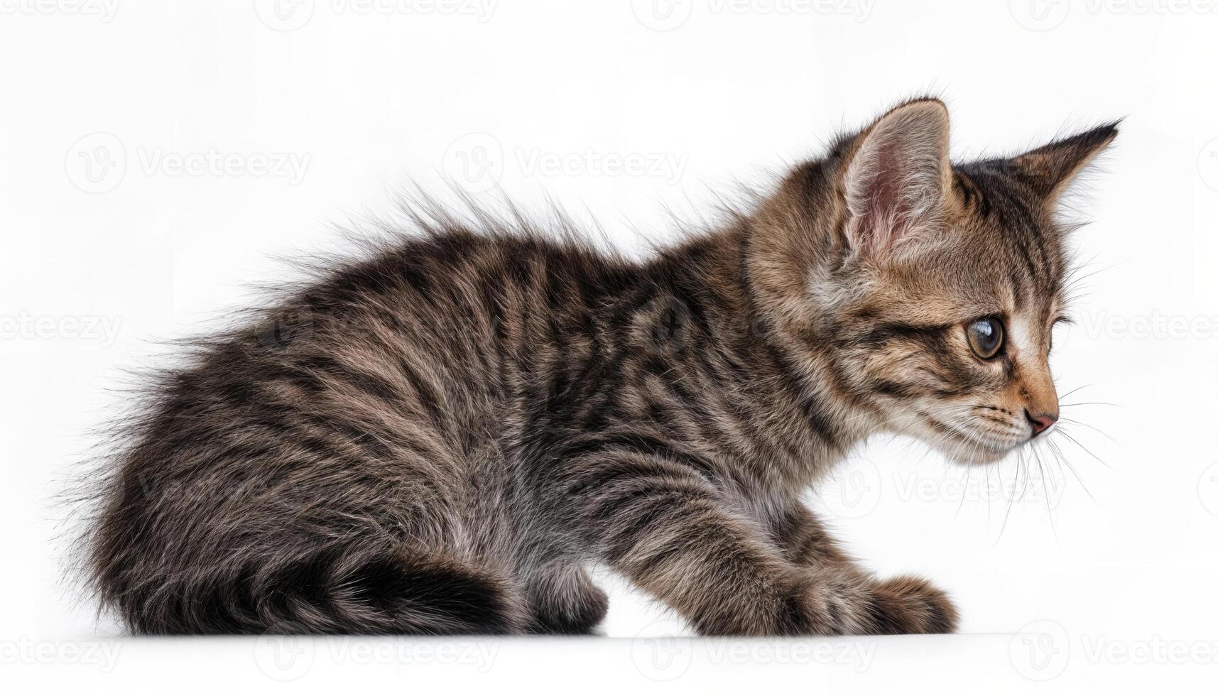 Adorable Kitten Balancing Sideways on a White Background, Playful and Whimsical with Pristine Textures, Capturing the Innocence and Charm of Youth in a Timeless Scene. photo
