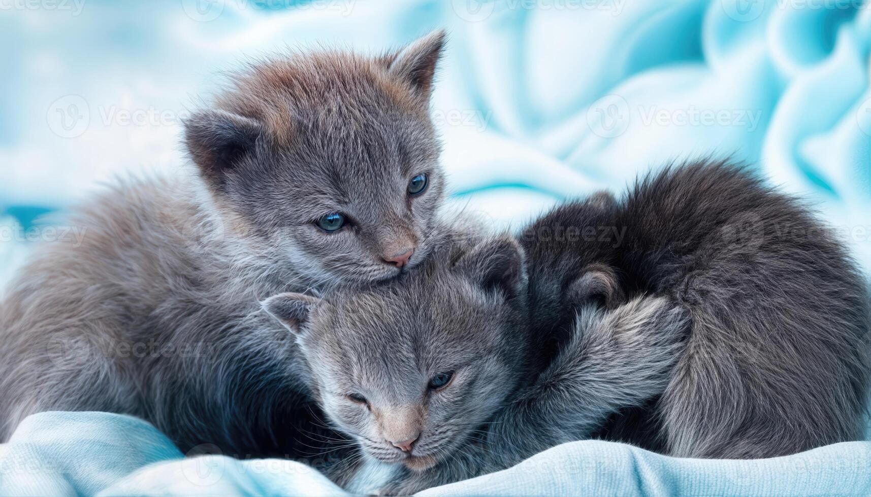 Intimate Moment Tiny Blue Cats Nursing in Soft Twilight, Showcasing Playful Serenity and Vivid Hues Amidst a Gigapixel Canvas photo