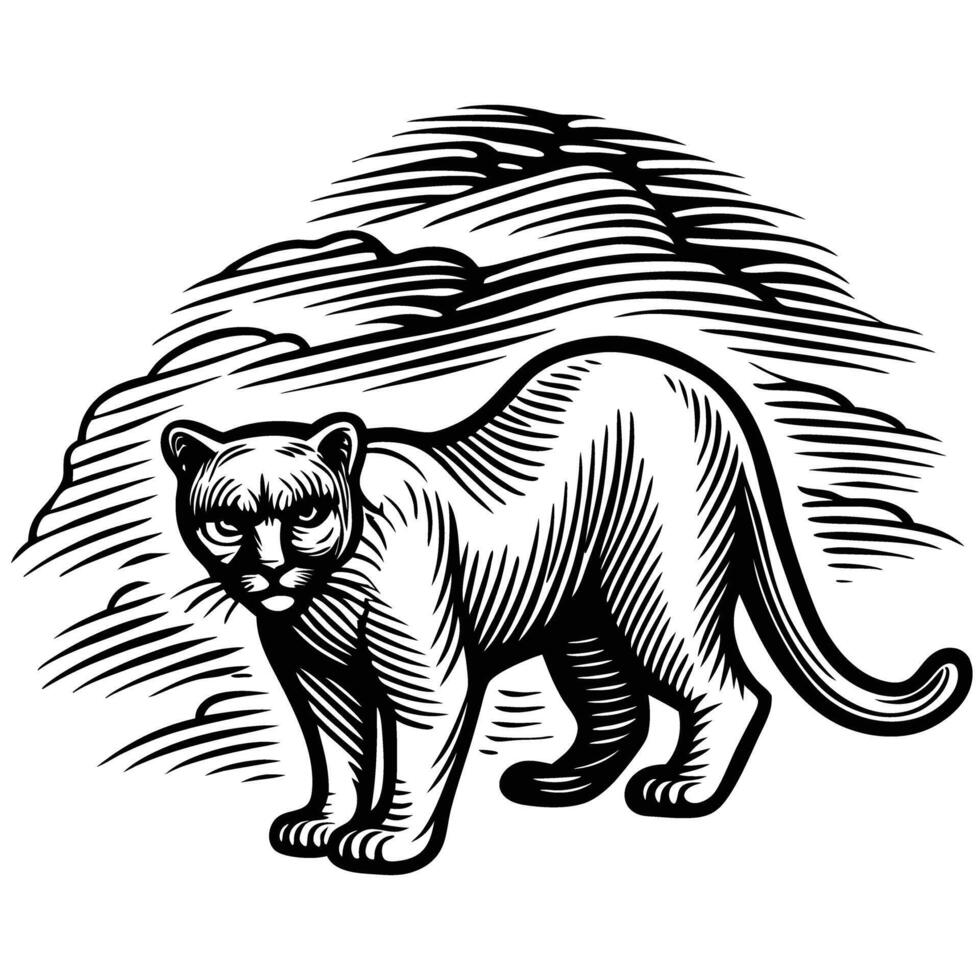 Wild mountain lion standing alert against rocky terrain, hand drawn black and white woodcut illustration vector