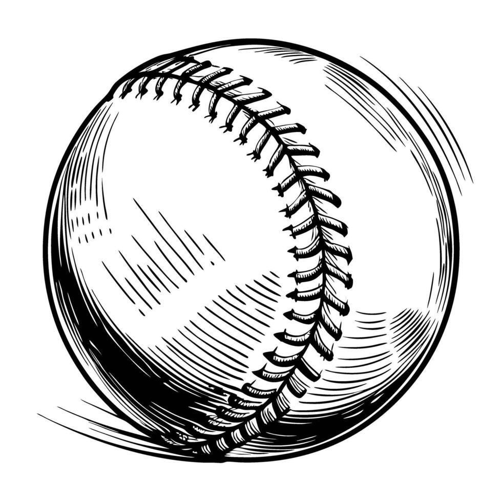 Illustration of a baseball with detailed stitching and dynamic lines vector