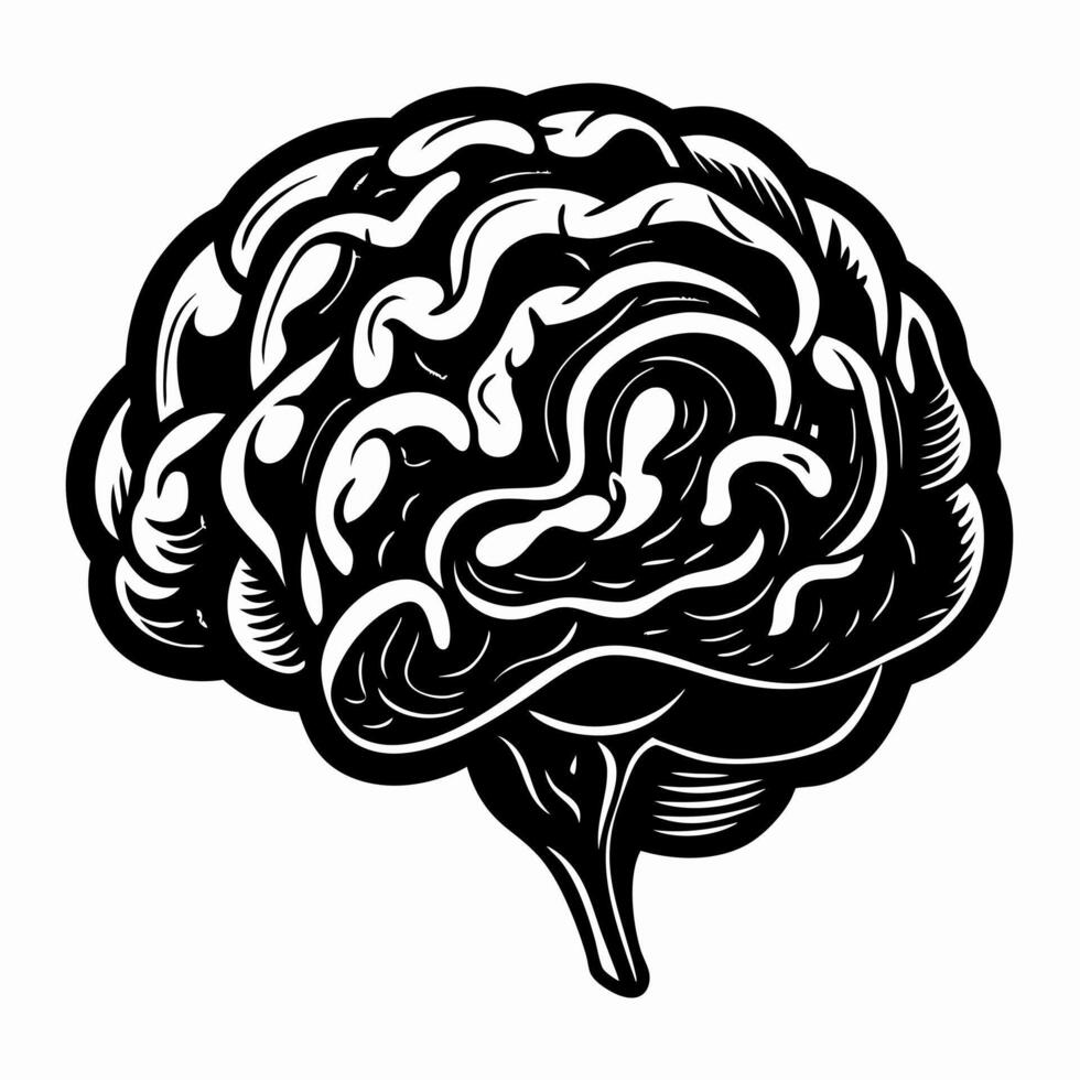 Intricate Black and White Brain Illustration Detailed Neuroscience Design vector
