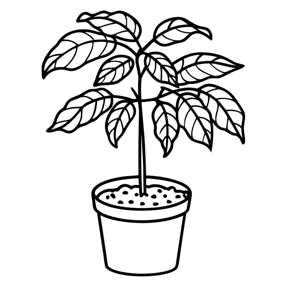 potted plant illustration young sapling in pot, abstract growth symbol outlined simple plant drawing, leaves, stem vector