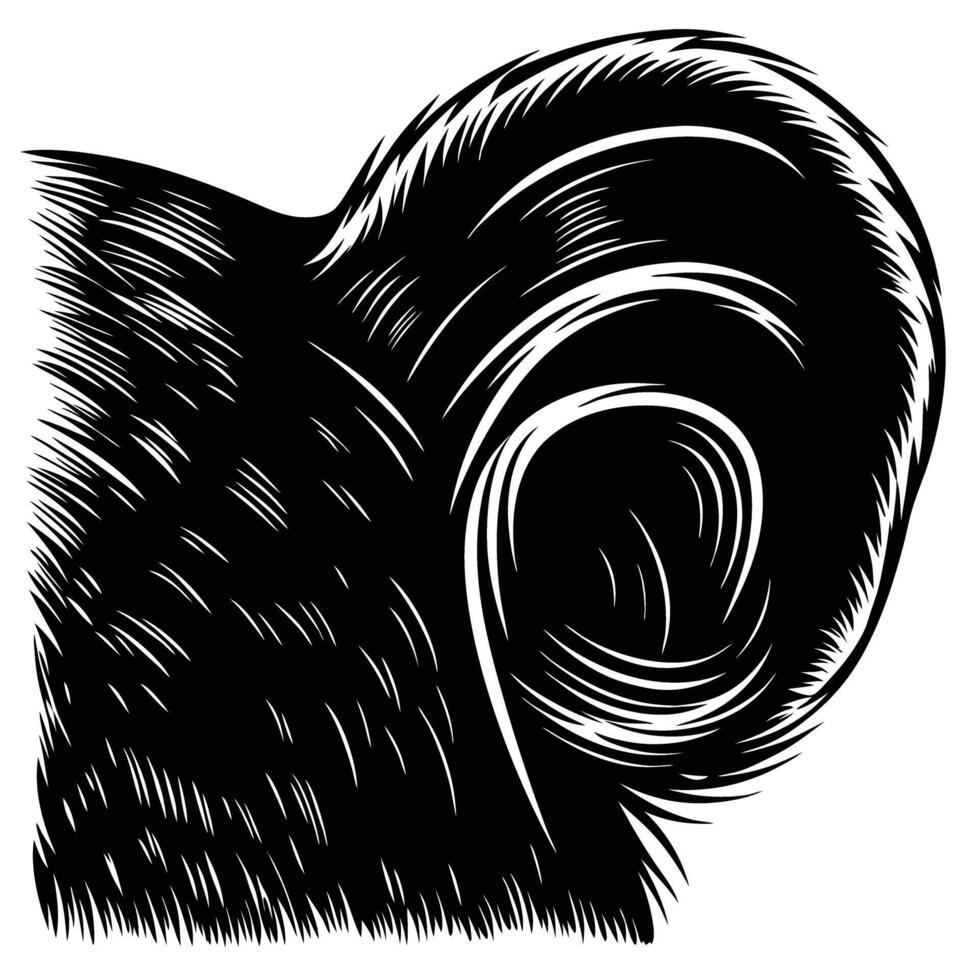 Sheep ear close up, animal ear detail illustration black and white textured etching drawing of fluffy wool and curved ear vector