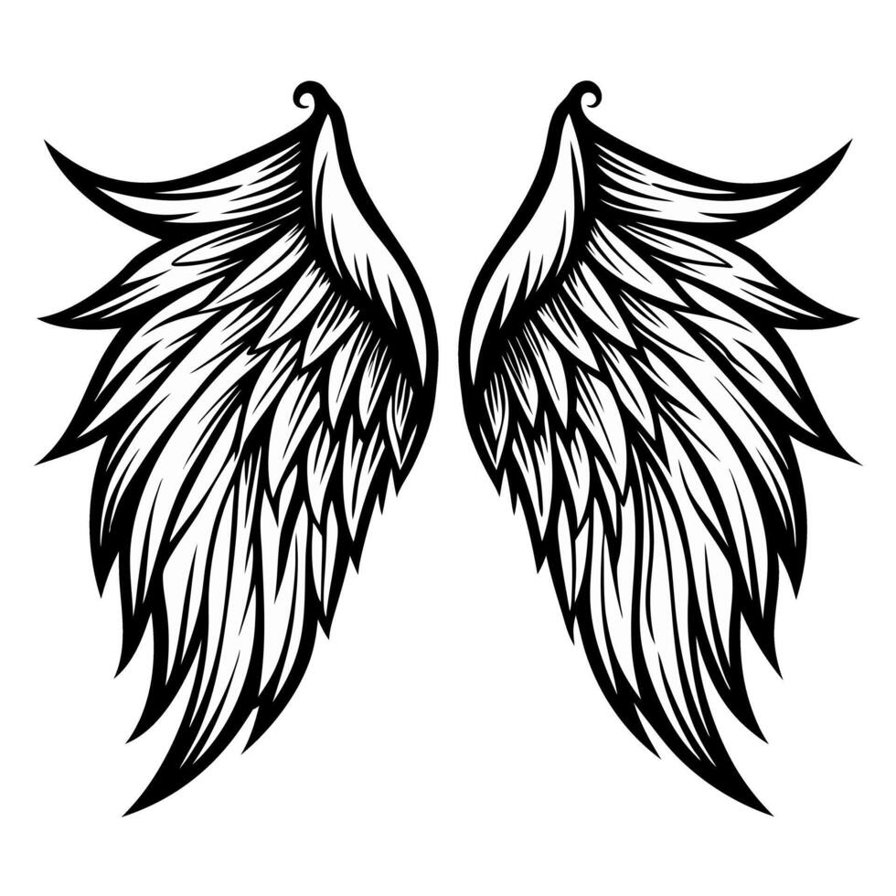 Intricate black and white angel wings illustration on a white background vector