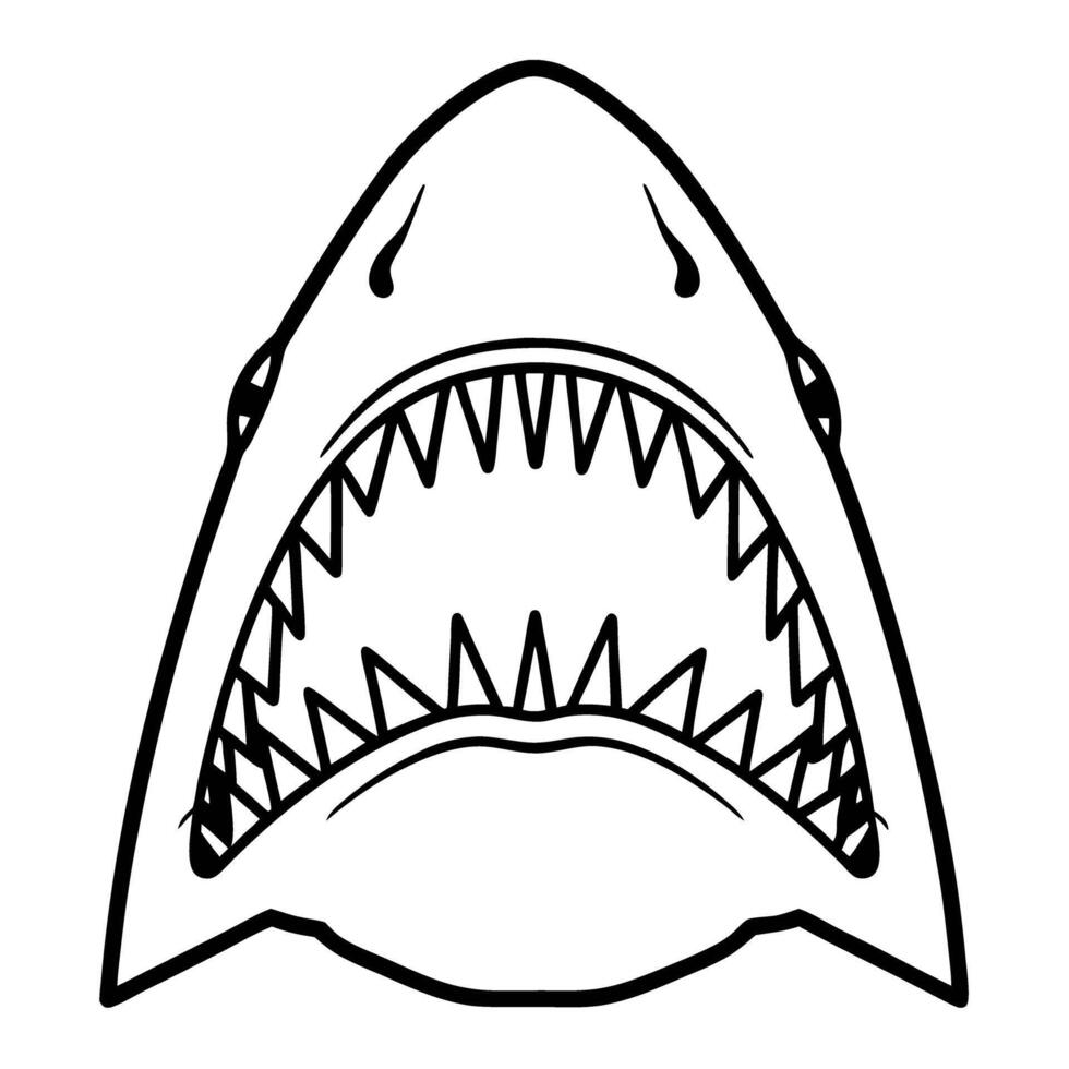Aggressive shark open mouth illustration predatory marine animal with sharp teeth, aquatic fear concept, black line art vector