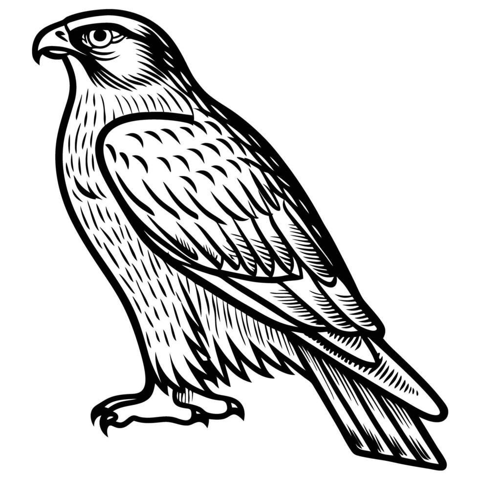 intricate eagle illustration in black and white, detailed bird profile, feathers and strength symbol vector