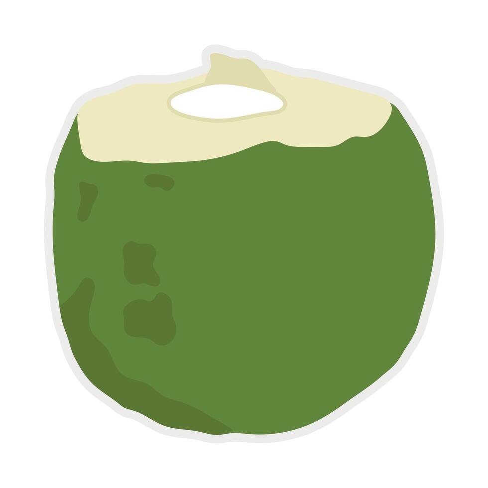 Fresh young coconut fruit with opened one for food and drink promotion. vector