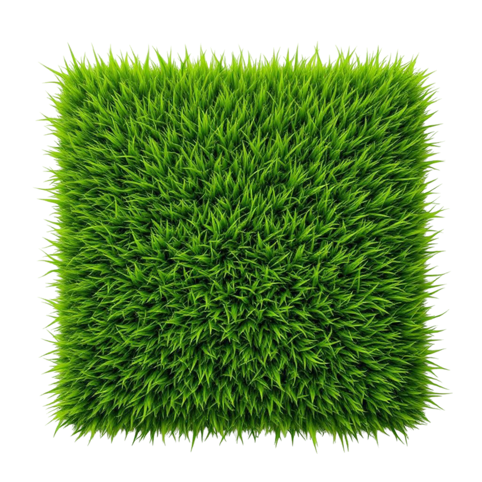 A Square patch of vibrant green grass on transparent background png