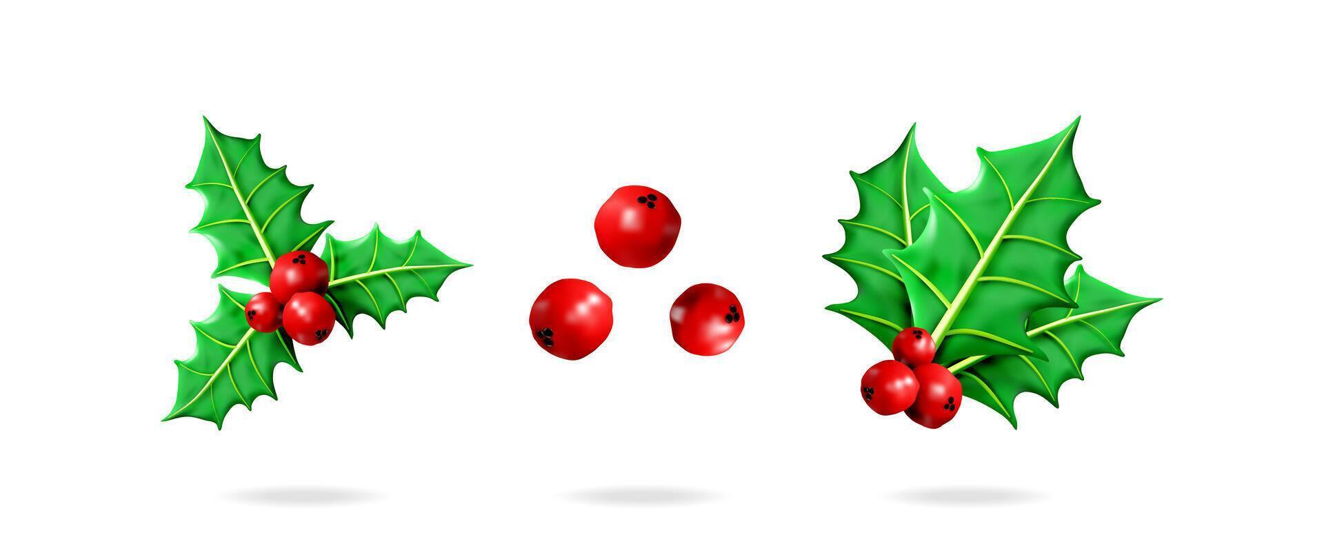 Christmas holly leaves and red berries 3d illustration collection set. Winter holiday season decoration design element for greeting card. vector