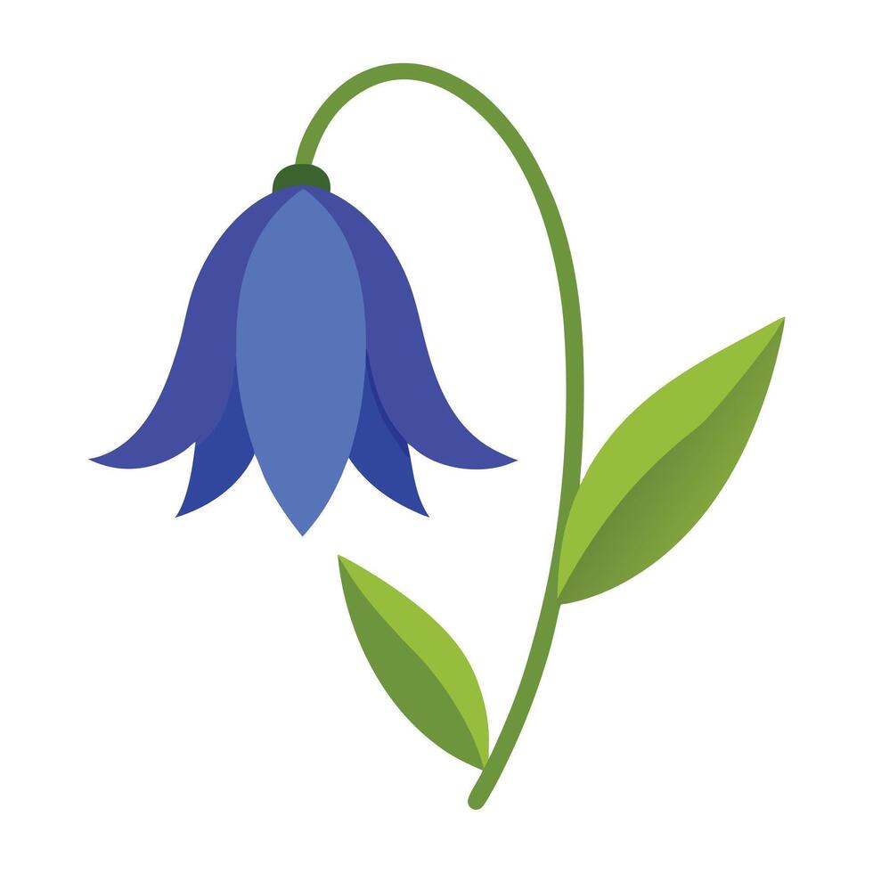 a bluebell flower with green leaves on a white background. vector