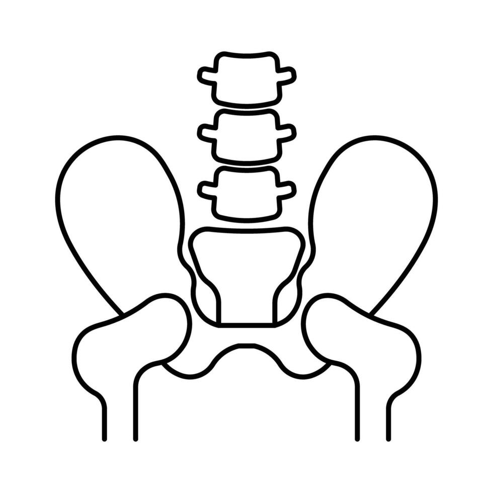 Tailbone Human body line editable icons set, illustration in modern thin line style of human anatomy icons. Organs, body parts, skeleton parts, Pictogram and infographics for mobile. Isolated on White vector