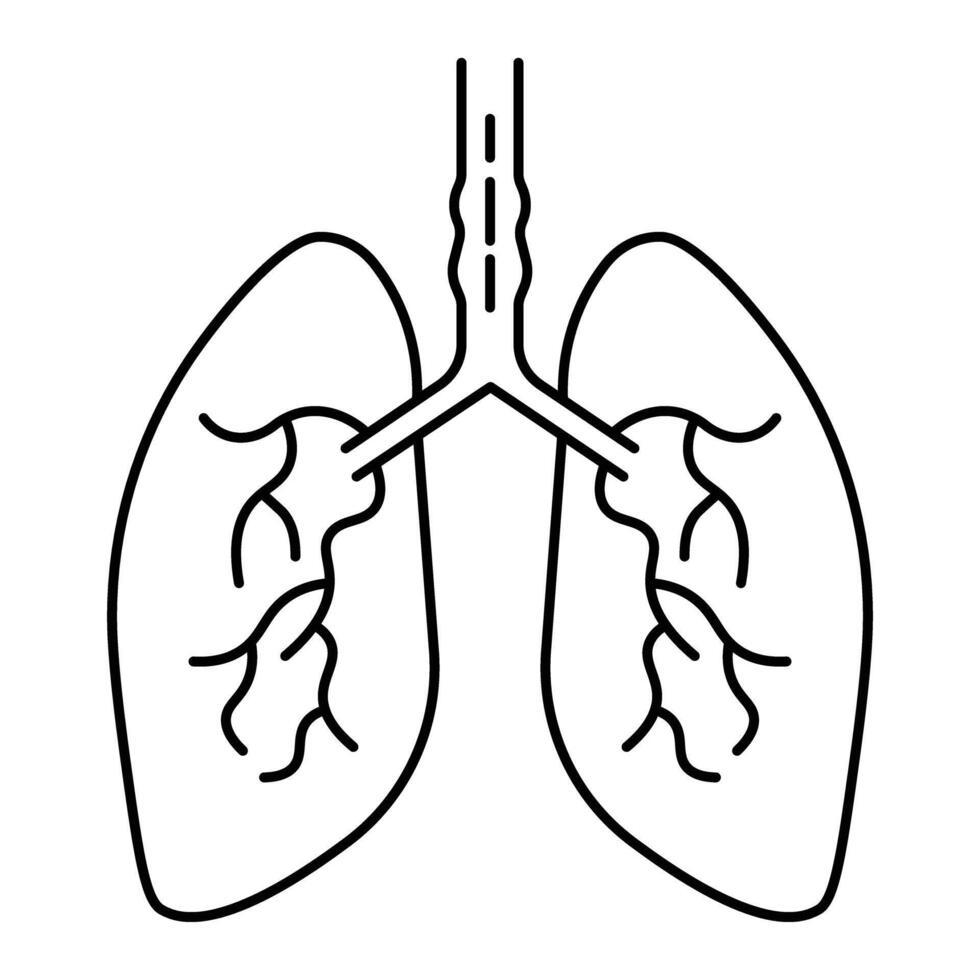lungs Human body line editable icons set, illustration in modern thin line style of human anatomy icons. Organs, body parts, skeleton parts, Pictogram and infographics for mobile. Isolated on White vector