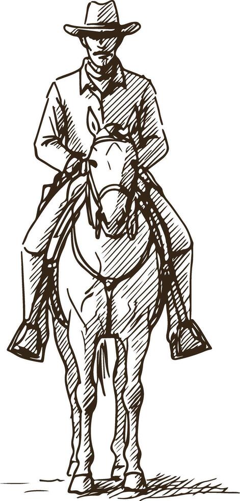 Cowboy with Lasso and Horse in Desert Canyon Illustration vector