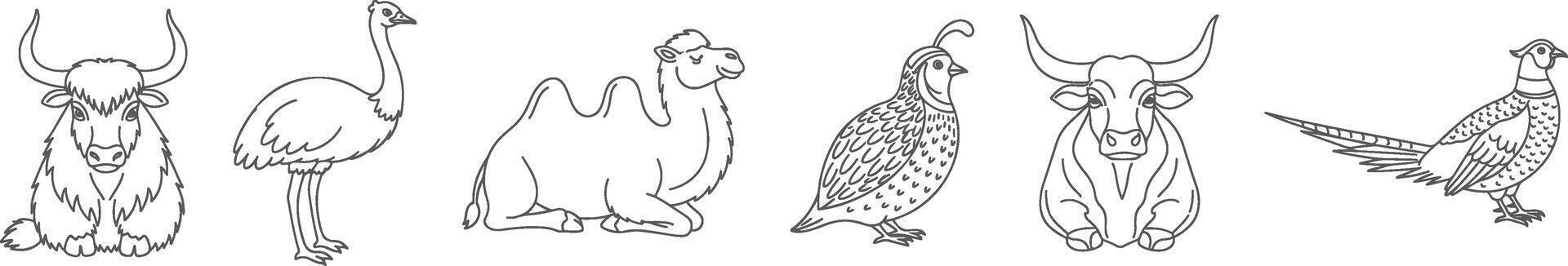 Minimal Line Art Illustration of Unique Farm and Exotic Animals Including Yak Emu Camel Quail Ox and Pheasant in Simplified Style for Educational Use Farm Decor vector