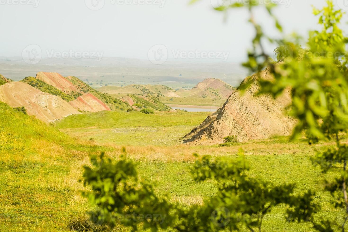 Vibrant striped hills and open steppe in Mravaltskaro, Georgia, seen through blurred green branches, blending arid landforms with fresh seasonal growth photo
