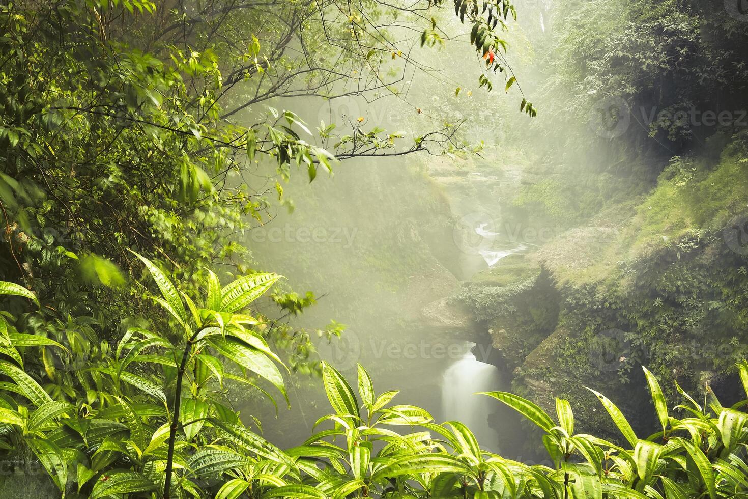 Misty morning view of Davis Falls cascading into a narrow gorge, surrounded by dense tropical greenery and dramatic rock formations in Pokhara, Nepal photo