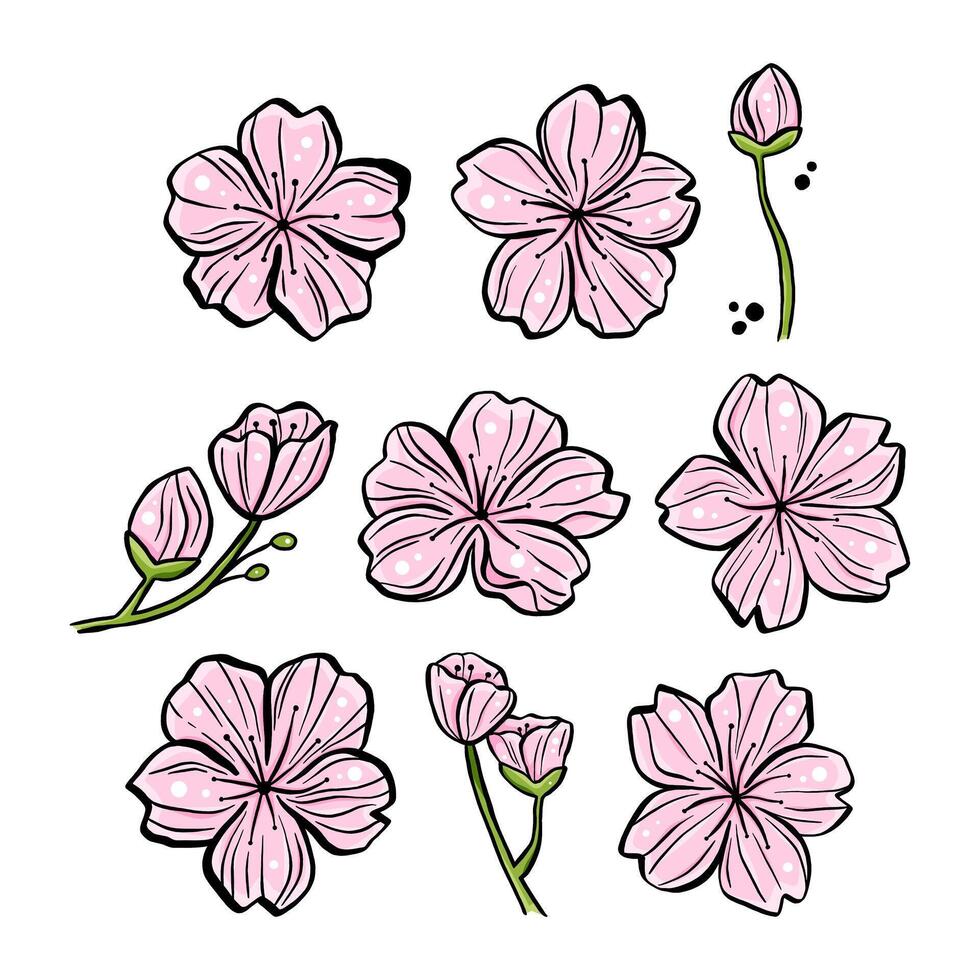 Set of Pink Sakura for decoration crafts project, card, background and any design. illustration about botanical nature. vector
