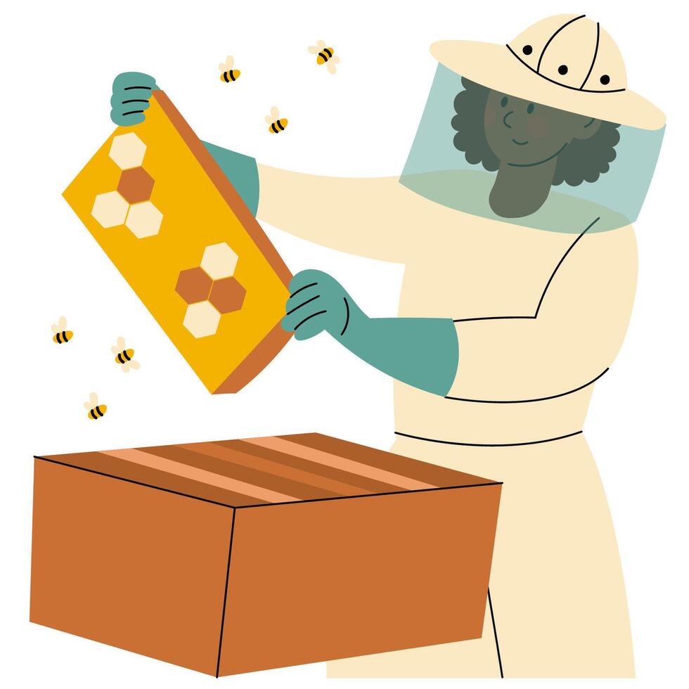 Woman beekeeping in a protective suit, holding a honeycomb frame. Flat illustration of a female beekeeper caring for bees. Concept of sustainable agriculture, eco lifestyle, and nature care. vector