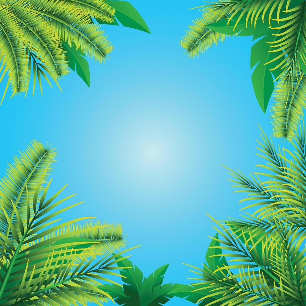 Beautiful green palm plants on blue sky with reflection of sun, summer background vector