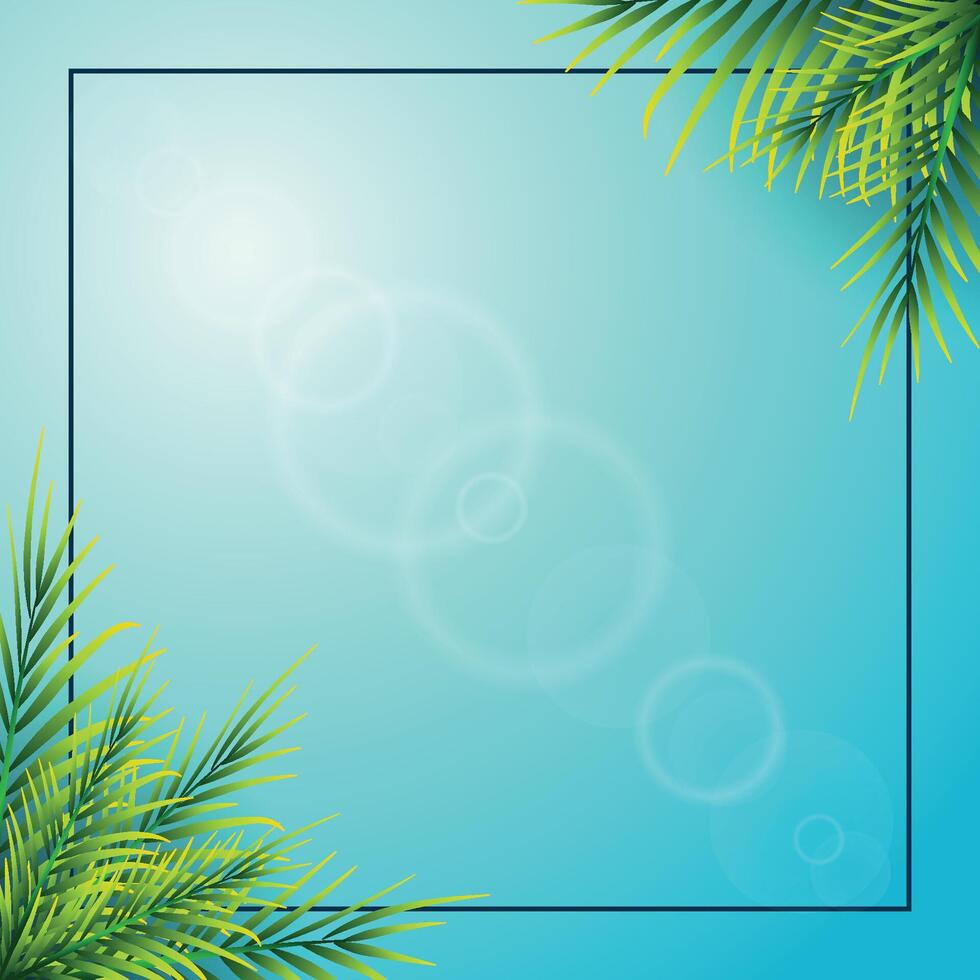 Palm leaves summer time illustration with frame tropical palm vector