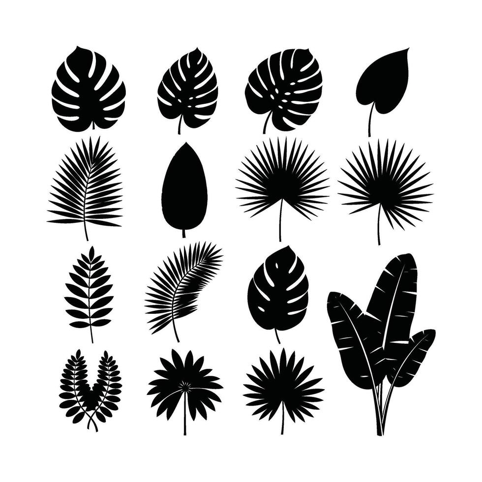 Tropical Palm and Jungle Leaves Silhouette Set vector