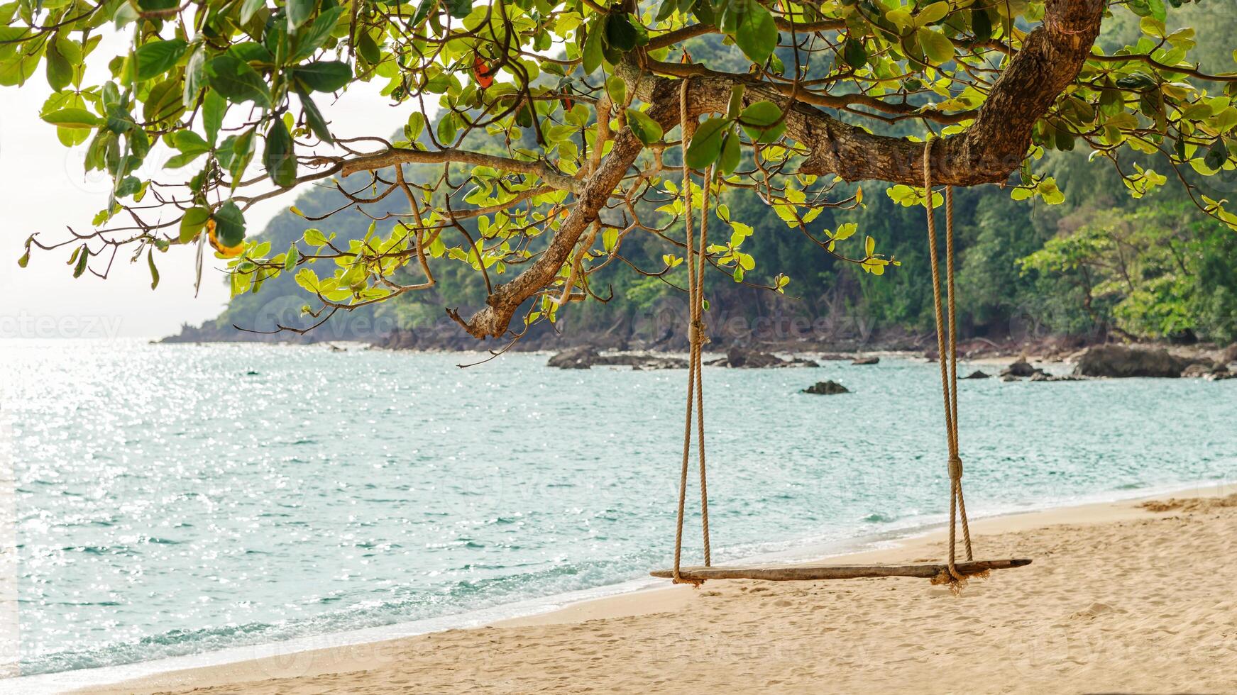 Rope wooden swing hanging on tree at topical beach with sunlight photo