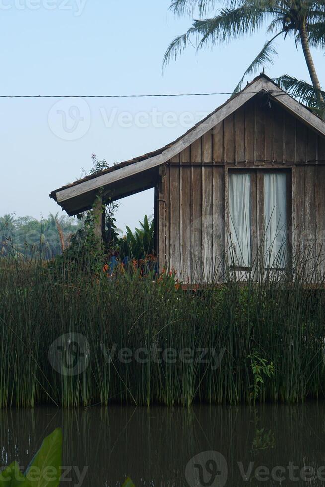 Rustic Waterside Cabin with Overgrown Reeds and Tropical Foliage photo
